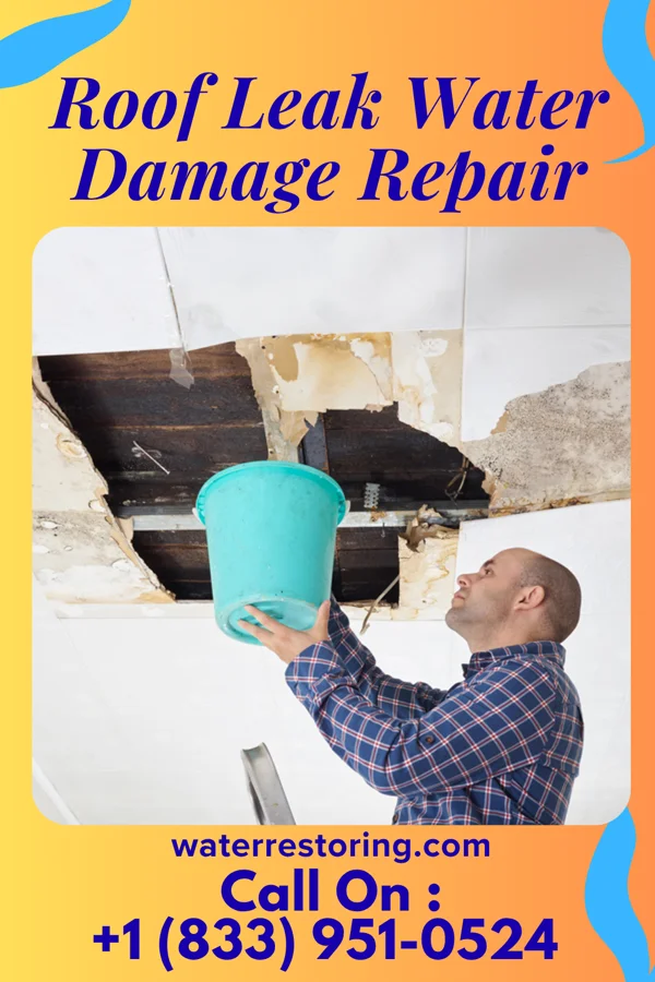 Roof Leak Water Damage Repair in Polk, NE